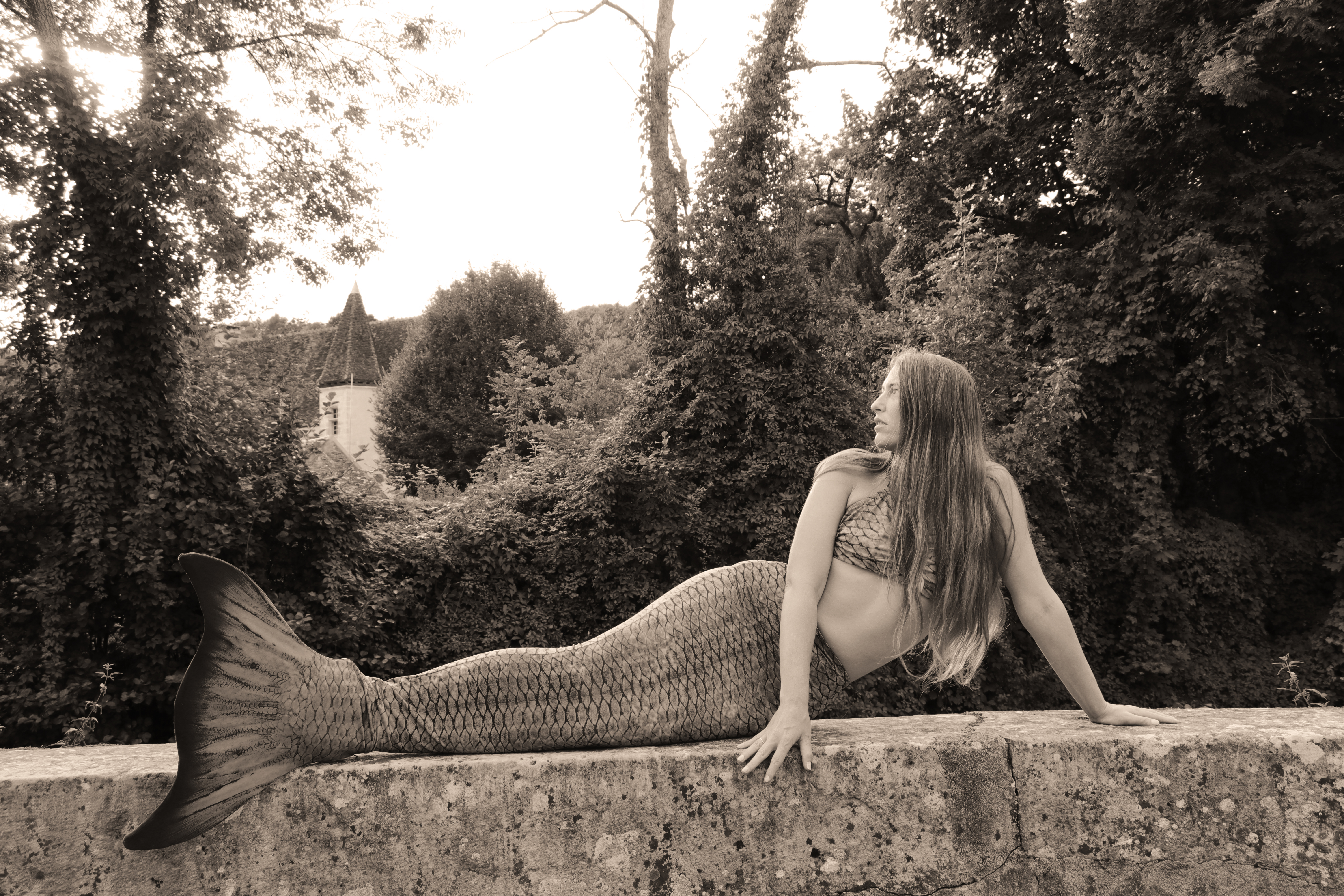 Mermaid And A Castle