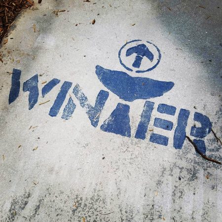 This way to meet Winter the dolphin.